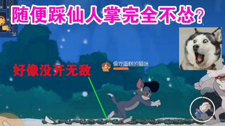 貓和老鼠：克制牛仔仙人掌的小技巧？堪稱(chēng)貓玩家的福音？有點(diǎn)實(shí)用