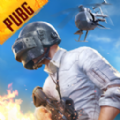 pubg刺激战场国际服0.16角斗场下载