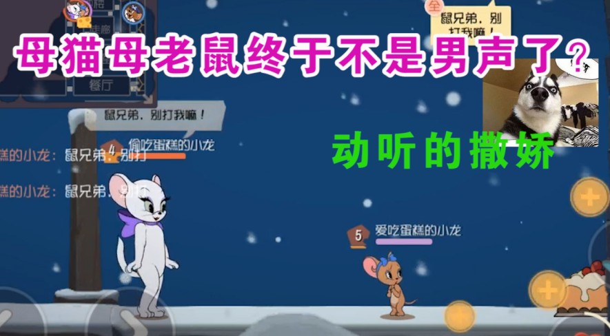 貓和老鼠：母貓母老鼠語(yǔ)音大改版？雪梨語(yǔ)音讓貓都舍不得抓？?jī)?yōu)秀