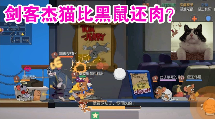 貓和老鼠：抗貓四下攻擊有多恐怖？比黑鼠都肉的最強(qiáng)老鼠！貓哭了