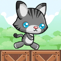 Cat Platformer游戲最新安卓版下載