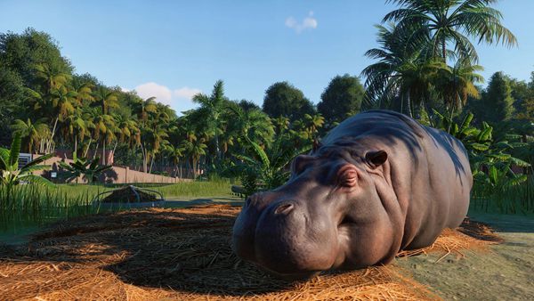 動物園之星豪華版中文最新版（Planet Zoo）截圖4