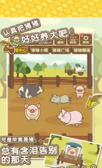 富豪養(yǎng)豬場游戲免費金幣版下載截圖2