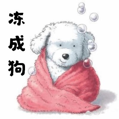 微信突然降溫了好冷表情包高清gif動態(tài)圖大全免費分享截圖4