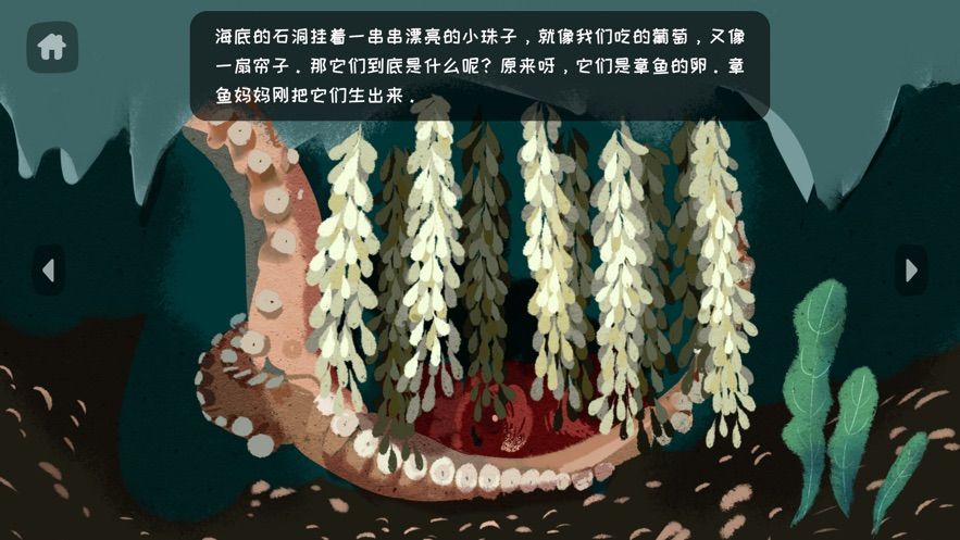 美麗科學(xué)繪本APP版截圖2