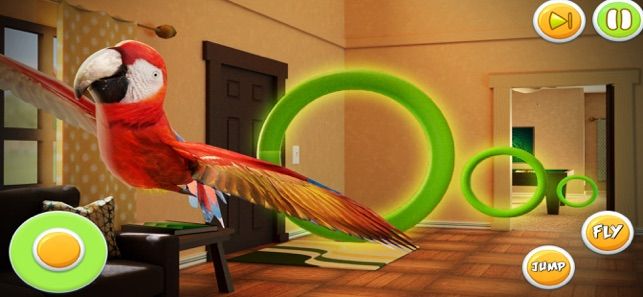 鸚鵡模擬器寵物世界3D游戲中文版下載截圖2