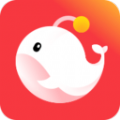 燈遇交友APP社區(qū)下載