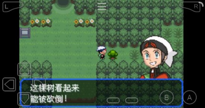 口袋妖怪究極綠寶石3mega石大全：全部mega石分布位置匯總