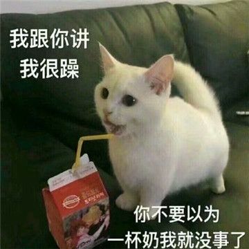 來杯奶茶表情包APP高清大圖完整版免費分享截圖5