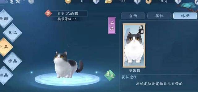 新笑傲江湖手游肖師兄的貓怎么獲得？肖師兄的貓獲取攻略