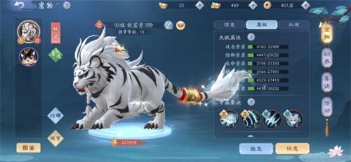 新笑傲江湖手游老虎值不值得培養(yǎng)？寵物老虎培養(yǎng)攻略