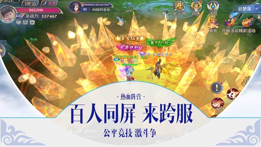 靈域天下正版手游下載截圖3