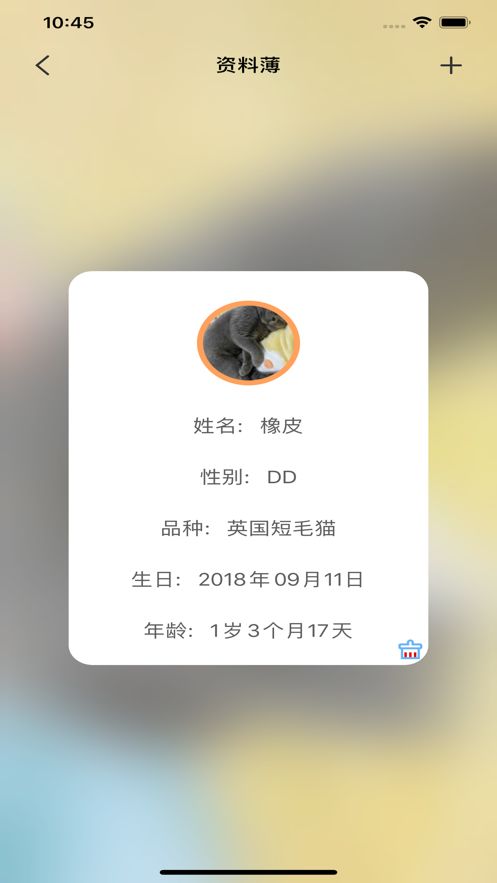 寵貓日記APP下載截圖1