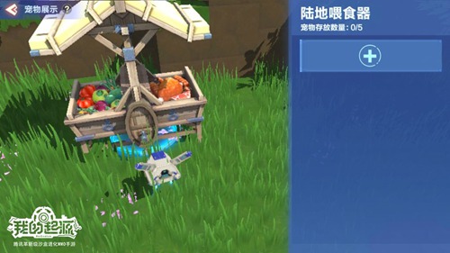 我的起源寵物派遣在哪玩？寵物派遣位置與獎勵獲取攻略