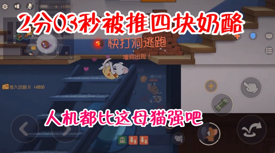貓和老鼠：特工行動遇到母貓，4分鐘就解決了戰(zhàn)斗，還有更快的嗎