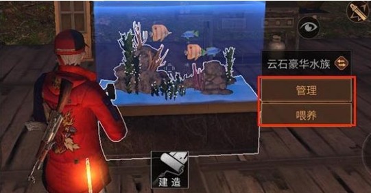 明日之后觀賞魚在哪釣？觀賞魚分布大全