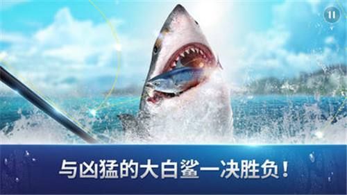 fishing strike手機游戲安卓下載最新正版截圖3