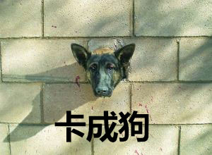 swicth安卓系統(tǒng)