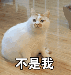 不是我