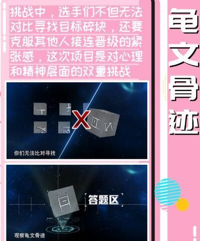 最強(qiáng)大腦龜文骨跡游戲規(guī)則版全關(guān)卡玩法版截圖4