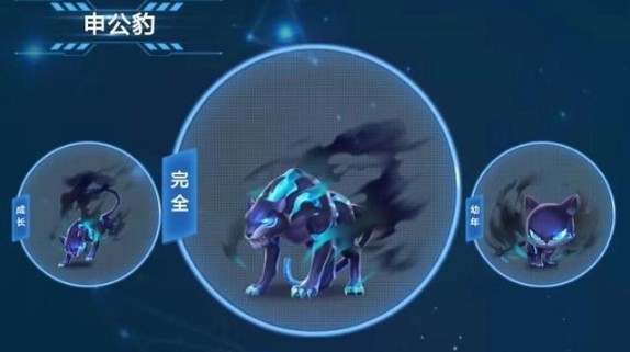 QQ飛車手游火麒麟和申公豹哪個(gè)好？火麒麟申公豹對比分析