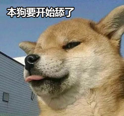 舔狗