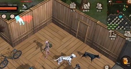 廢土行動狗怎么快速得？狗狗快速獲取方法