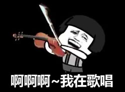 皮皮君