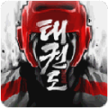 taekwondo游戲全人物完整安卓中文版