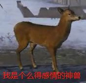 刺激戰(zhàn)場
