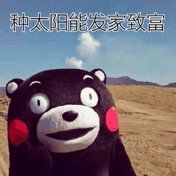 種太陽