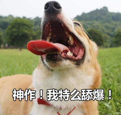 神作