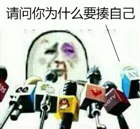 我揍我自己