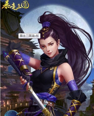 暴走三國(guó)手游安卓滿(mǎn)V版下載截圖1