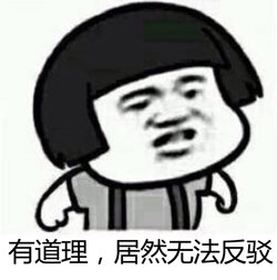 有道理