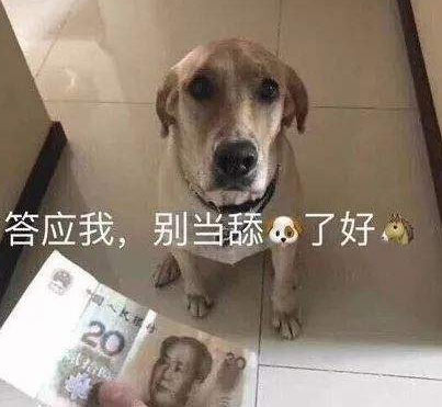 舔狗