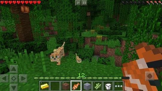 minecraft1.5.0基巖手機(jī)正式版游戲安卓下載截圖5
