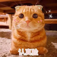 認真