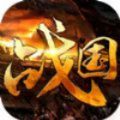 縱橫戰(zhàn)國手游安卓安卓版