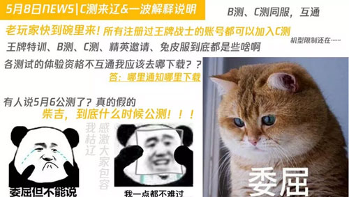 王牌戰(zhàn)士測(cè)試