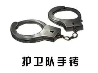 明日之后特殊道具