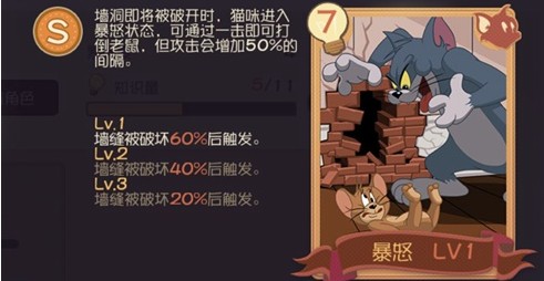 貓和老鼠手游貓咪知識卡哪個好？貓咪最強知識卡推薦