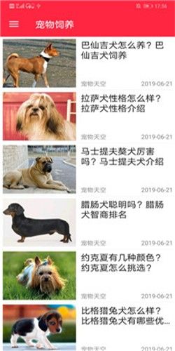 火貓寵社APP寵物軟件下載截圖2