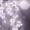 紅塵謠記手游版