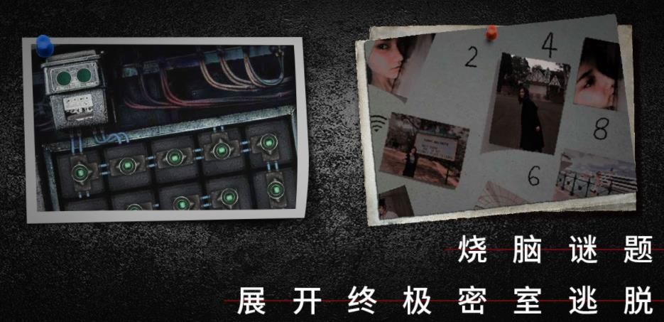 沉默的證人游戲全劇情完整地址截圖2