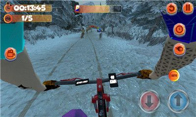真實(shí)山地自行車(chē)2中文手機(jī)版游戲下載（MTB Downhill2）截圖1