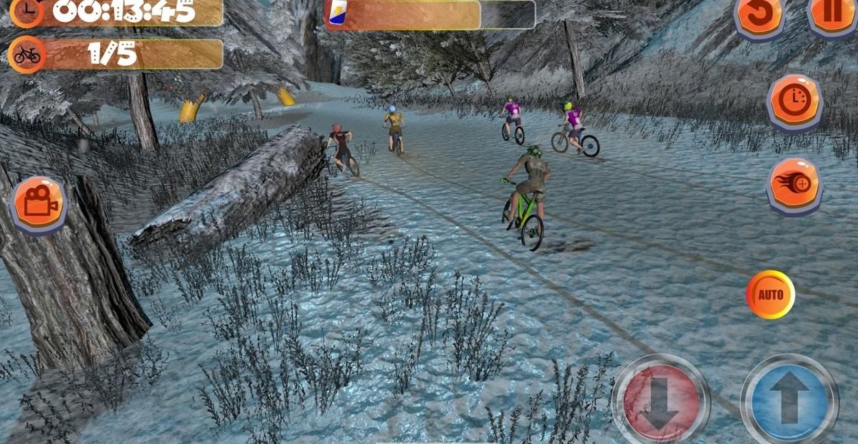 真實(shí)山地自行車(chē)2中文手機(jī)版游戲下載（MTB Downhill2）截圖3