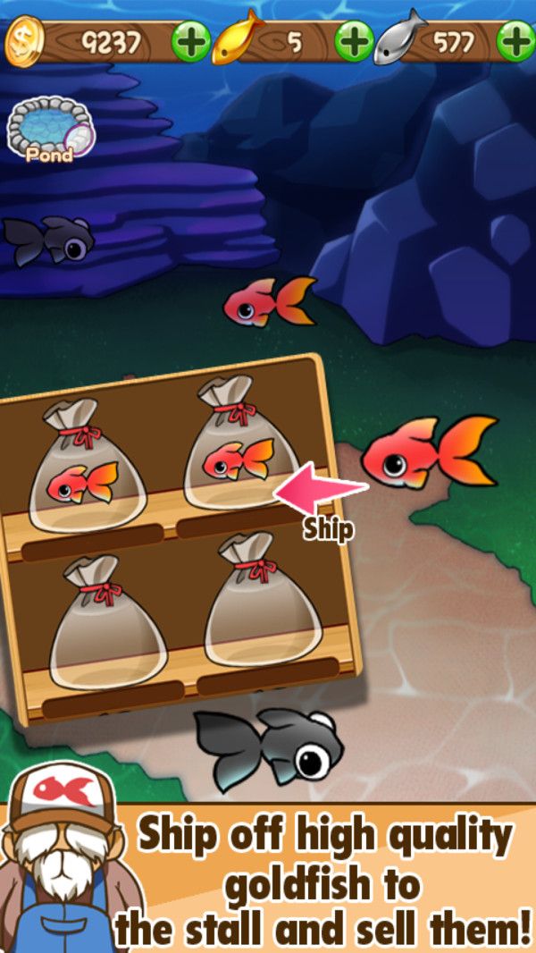 金魚的日常游戲最新中文版下載截圖5
