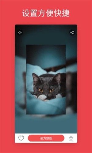 壁紙中心APP安卓版下載截圖4