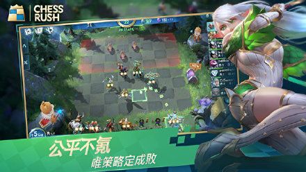 Chess Rush進不了游戲怎么辦 游戲進不去的解決方式